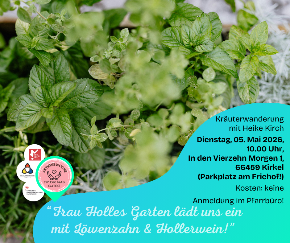 Grüne Kräuter im Hintergrund, dazu Informationen zur Veranstaltung!