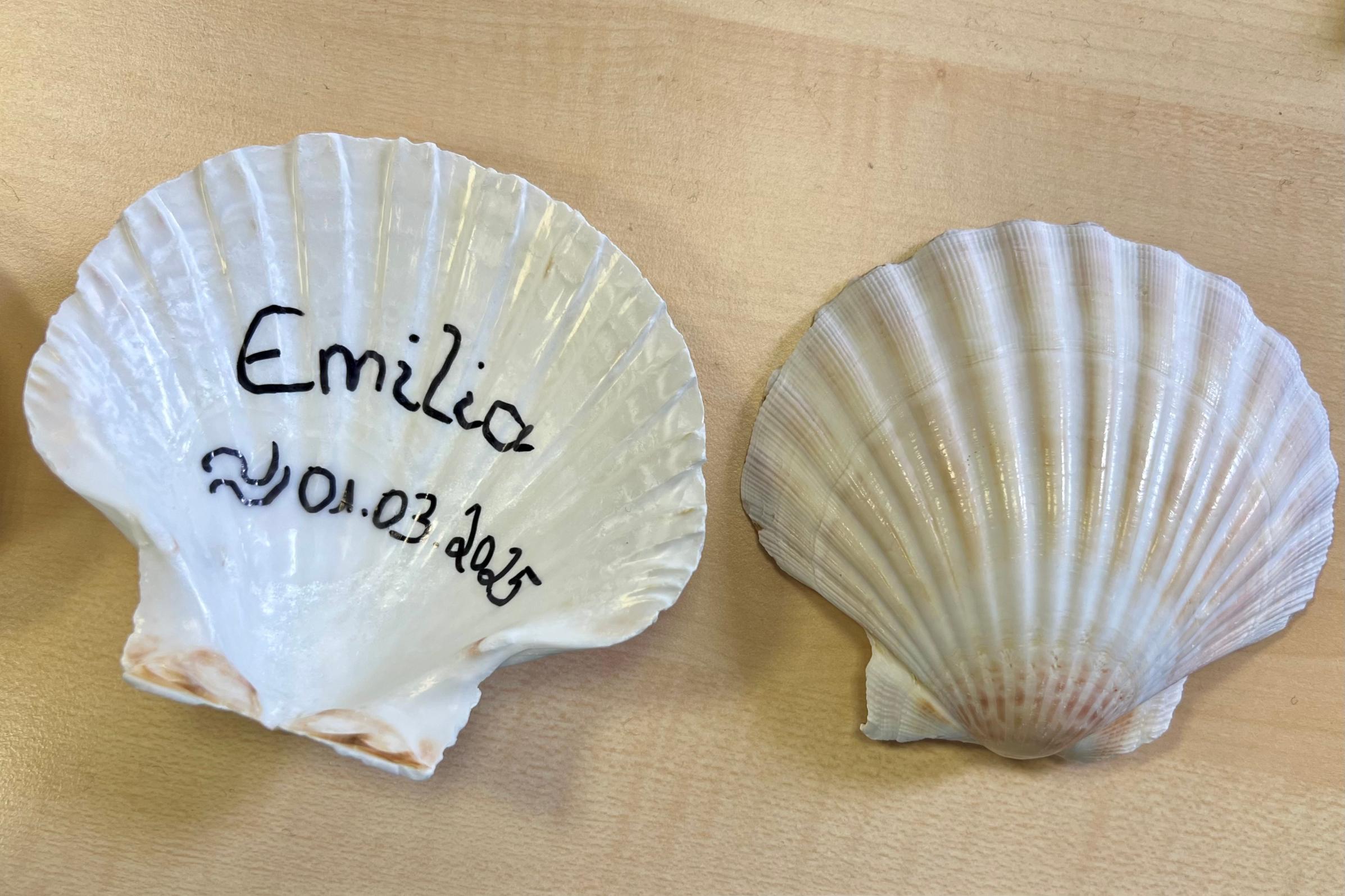 Taufmuschel mit dem Namen Emilia und dem Taufdatum 1. März 2025